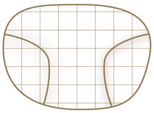 progressive diagram